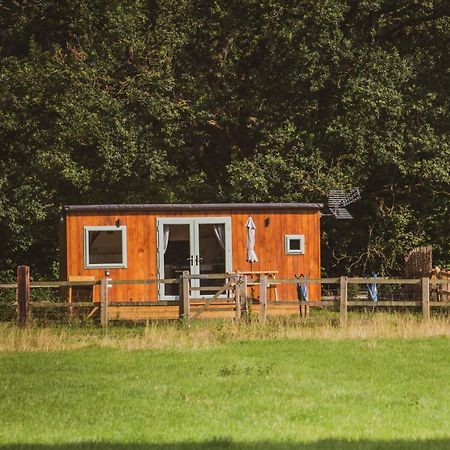 فندق The Hideaway At Hiddenwood Glamping Corsley المظهر الخارجي الصورة